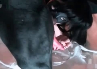 Dark-haired babe and her sensual dog