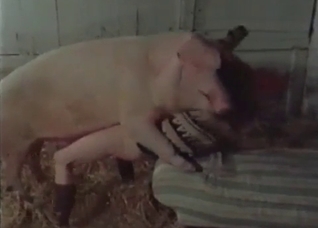 Pig is fucking with a nice woman
