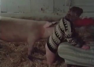 Pig is fucking with a nice woman