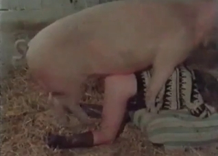 Pig is fucking with a nice woman