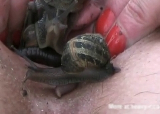 Dirty insects in her small twat