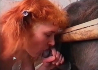 Filthy redhead enjoys a horse dick