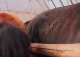 Filthy redhead enjoys a horse dick