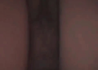 Big doggy and a hot zoophile slut