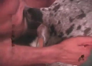 Juicy anal sex with a nice doggy
