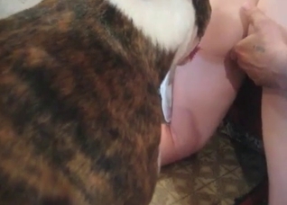 Sexy dog is sucking her juicy vagina