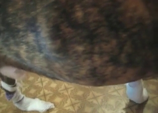 Sexy dog is sucking her juicy vagina
