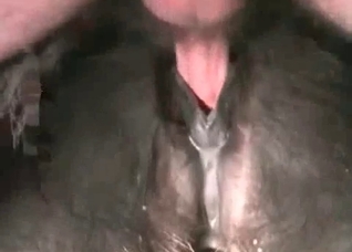 Small dick in a tight doggy hole