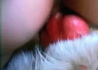 Blonde is sucking a horny red dick