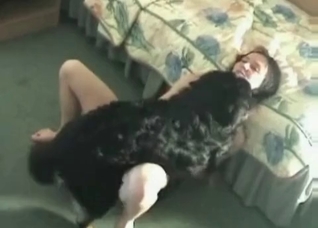 Filthy black doggy is drilling her vag