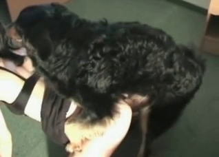 Filthy black doggy is drilling her vag