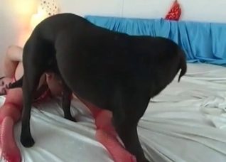 Dirty doggy cums in her vagina