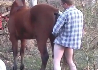 Amazing horse sex at the farm