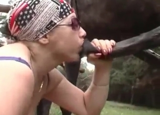 Hardcore anal sex with a horse