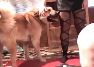 Blonde milf enjoys her retriever