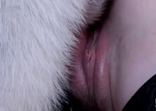 White doggy and a hot blonde