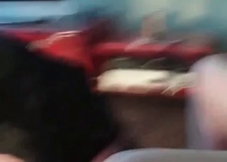 Insane action with a fast doggy