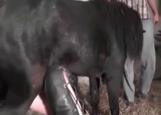 Fetish girl and her horny horse