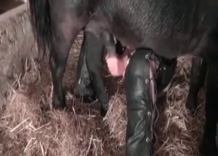 Fetish girl and her horny horse