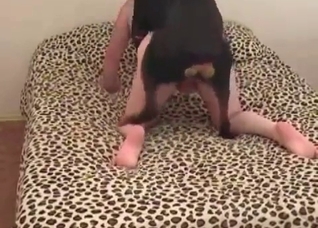 Black hound fucks with a slutty chick