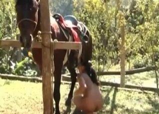 Insane blowjob for a brutal stallion