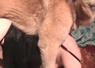 Redhead whore fucks with a dog