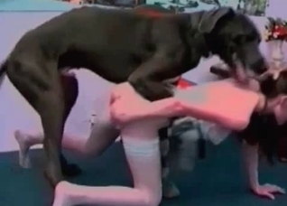Awesome Doberman is enjoying bestial sex
