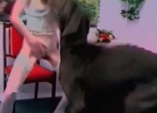Awesome Doberman is enjoying bestial sex