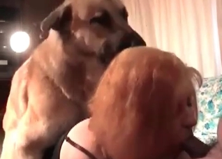 Redhead girl is blowing a juicy dick