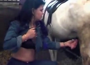 Brunette strokes a horse wiener