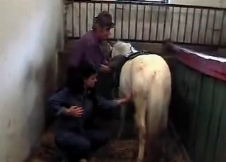 Brunette strokes a horse wiener