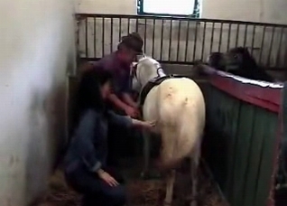 Brunette strokes a horse wiener