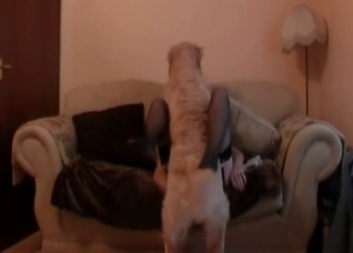 Stunning dog is licking her juicy snatch