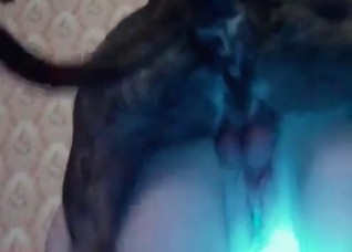 Sexy doggy is licking so hot