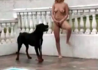 Crazy outdoor bestial action