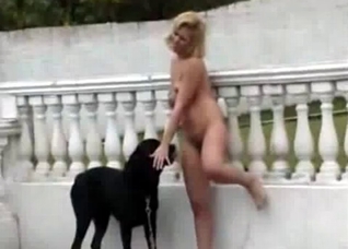 Crazy outdoor bestial action