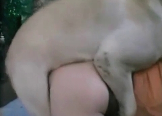 Brutal babe and her hot doggy