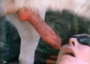 Brutal babe and her hot doggy