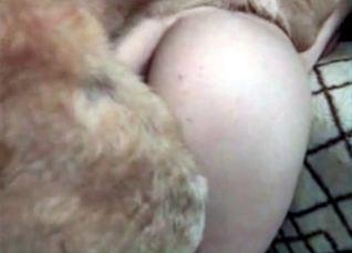 Big doggy is having a hot pussy