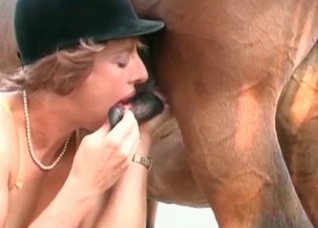 Brown stallion cums a big load