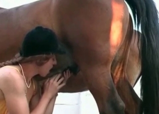 Brown stallion cums a big load