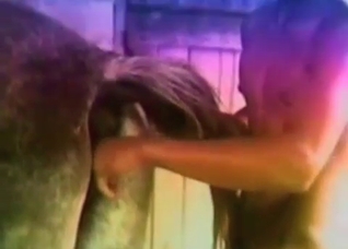 Horse is being fucked from behind