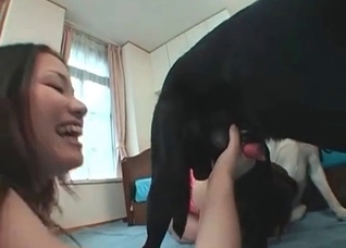 Asian girl suck a doggy dick