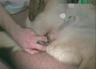 Dirty bestial action in close-up