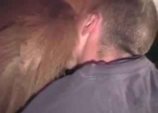 Male fucks a hardcore stallion