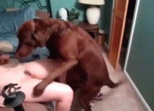 Stunning dog and a hot slut