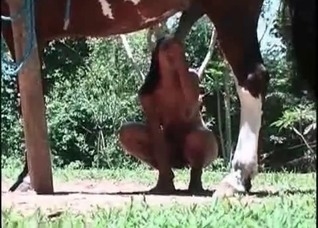 Amazing outdoor sex with a horse