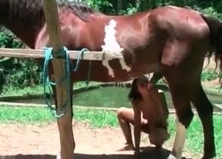 Amazing outdoor sex with a horse