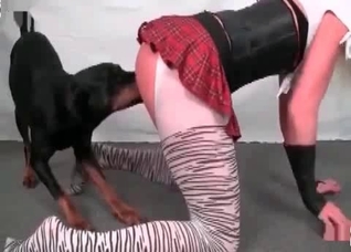 Filthy Doberman cums in her mouth