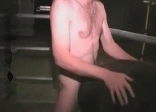 Brown horse fucks in the ass